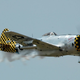 Illustration for article titled Top Gun 2008: Biggest RC Airplane Competition in the World
